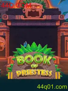 Explorando o Fascinante Mundo de BookOfPriestess